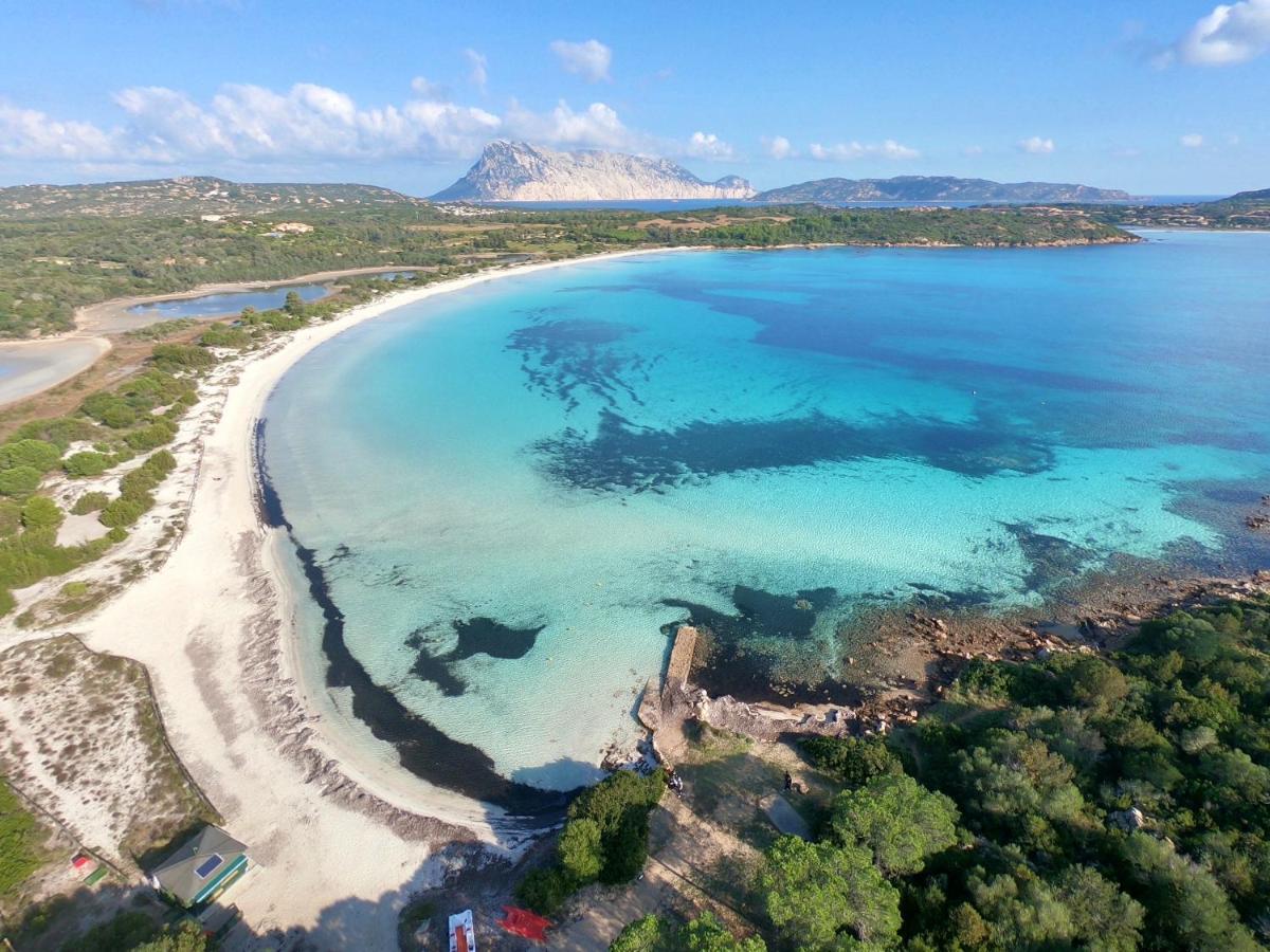 Iss Travel, Citai Panoramic Apartments - 1,5 Km From The Beach Сан-Теодоро Экстерьер фото